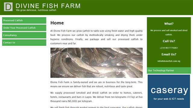 Divine Fish Farm Lagos website designed and developed by Caseray Solutions